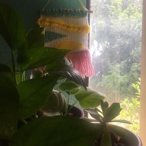 Pastel hand-woven wall deco